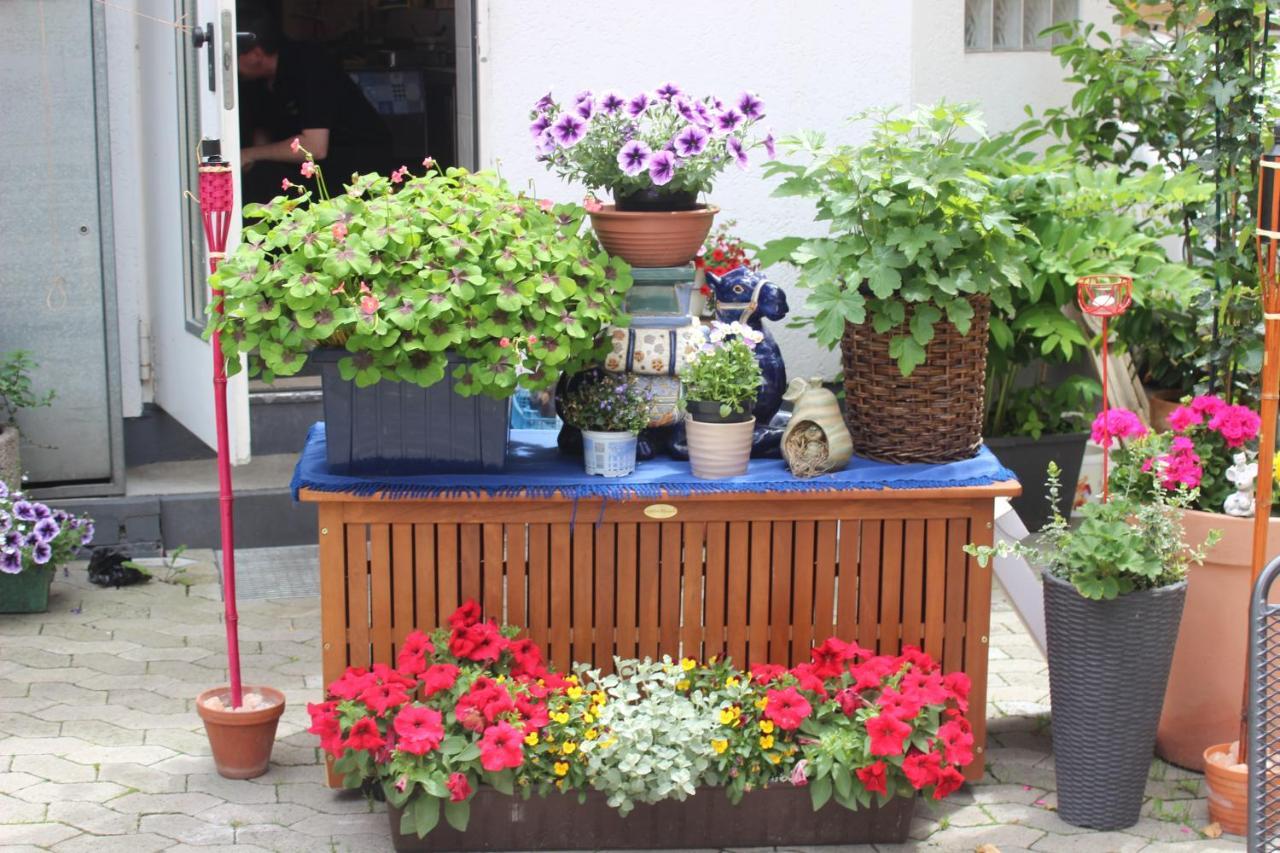 Restaurant / Pension Mainzer Tor 알스펠트 외부 사진